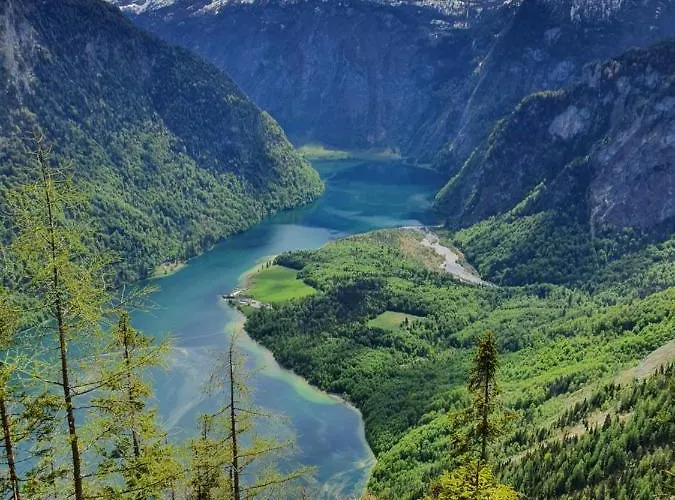 Berganemone Schönau am Königssee