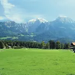 Berganemone