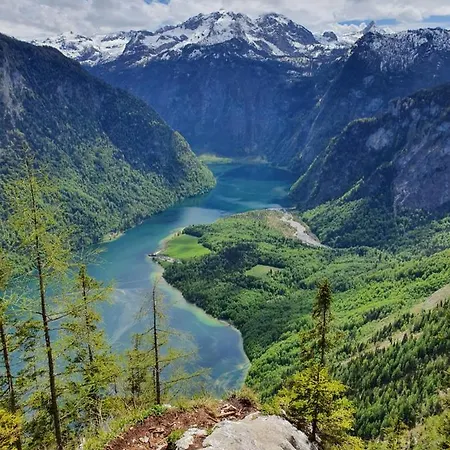 Berganemone Schoenau am Koenigsee