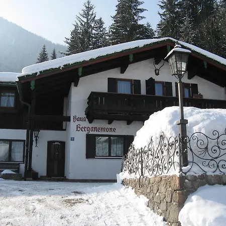 Berganemone Schönau am Königssee