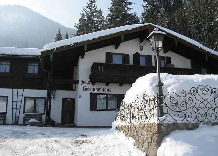 Berganemone Schönau am Königssee